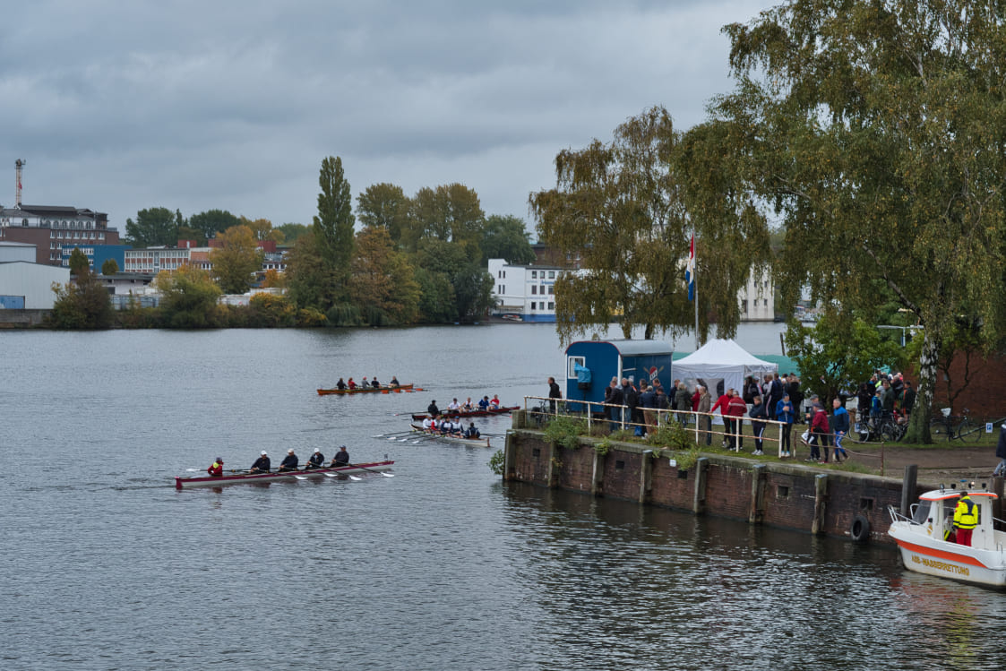 Matjesregatta 2019